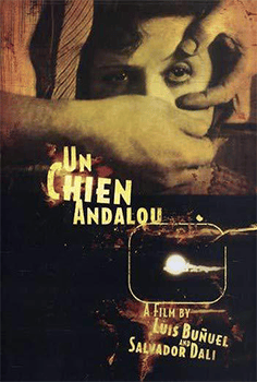 Bir Endülüs Köpeği